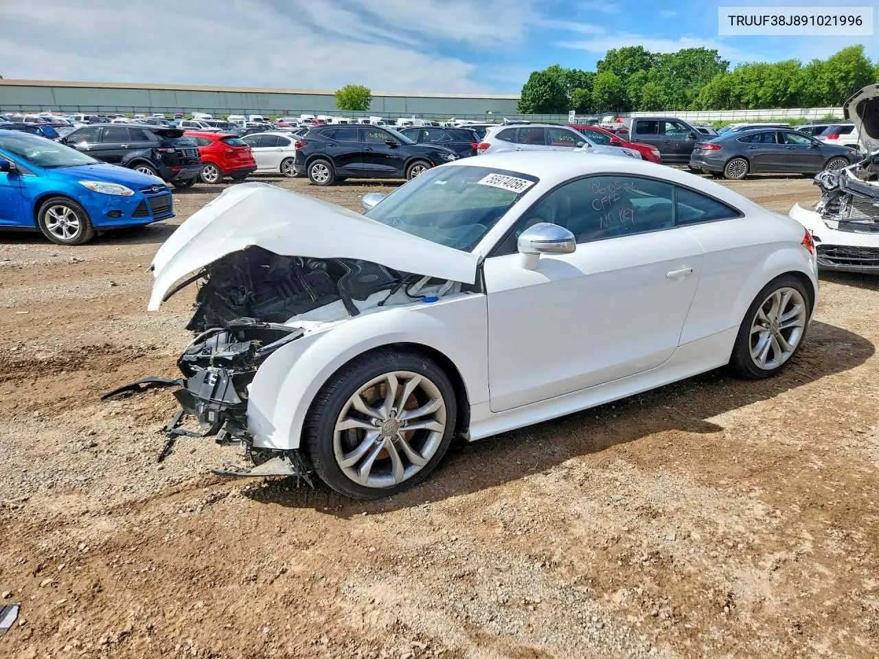 2009 Audi Tts VIN: TRUUF38J891021996 Lot: 56974056