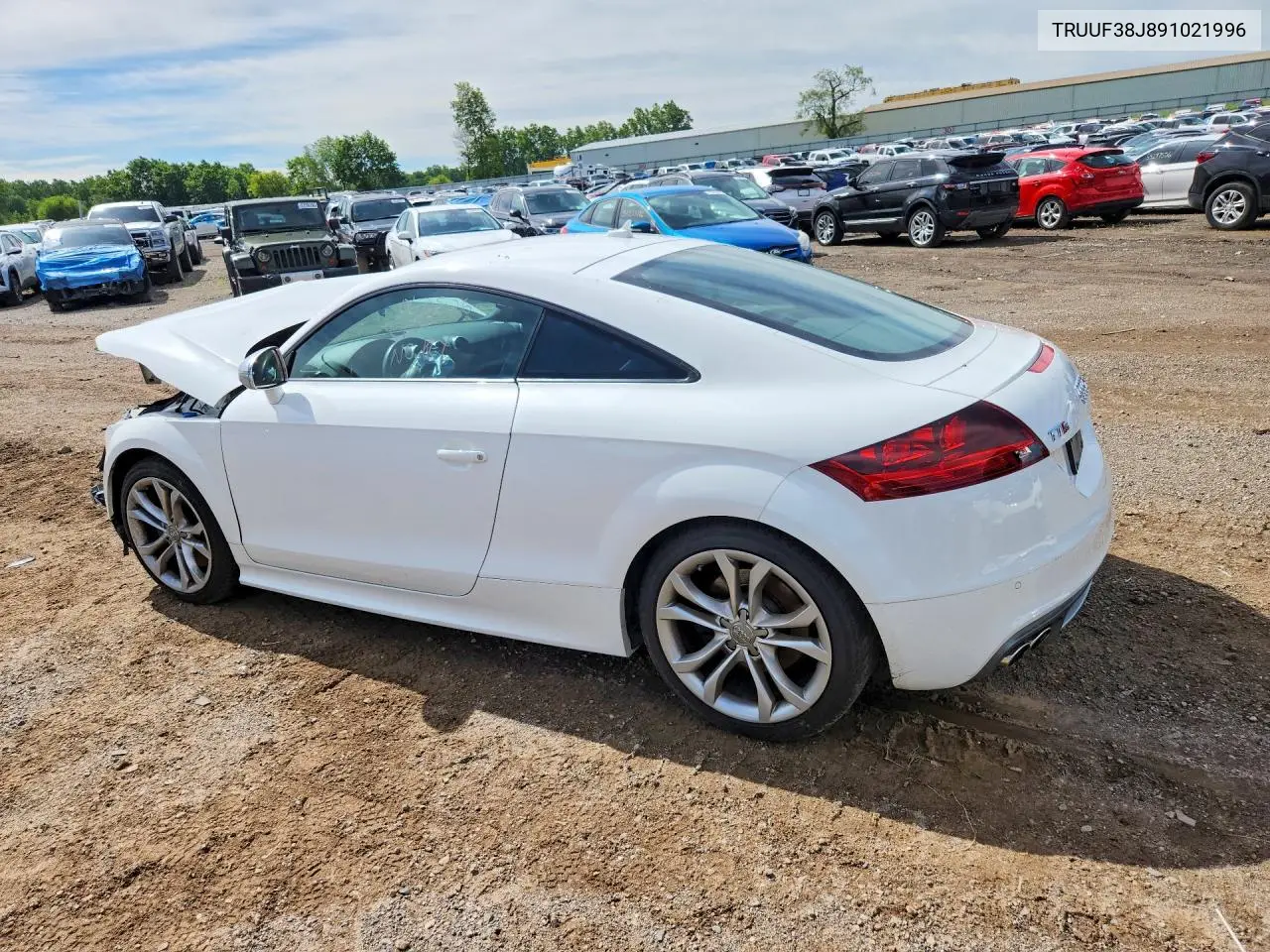 2009 Audi Tts VIN: TRUUF38J891021996 Lot: 56974056