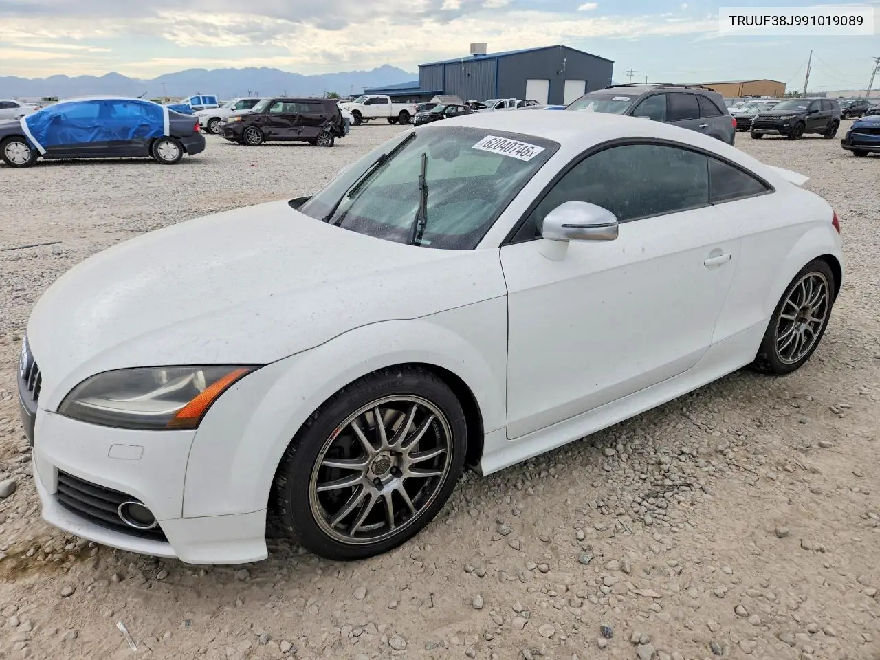 2009 Audi Tts VIN: TRUUF38J991019089 Lot: 62040746