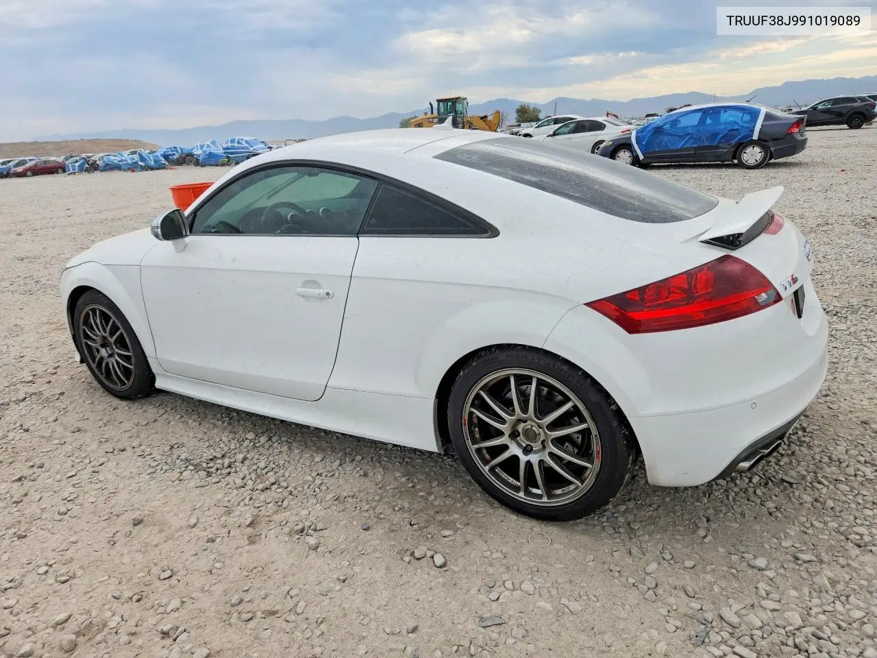 2009 Audi Tts VIN: TRUUF38J991019089 Lot: 62040746
