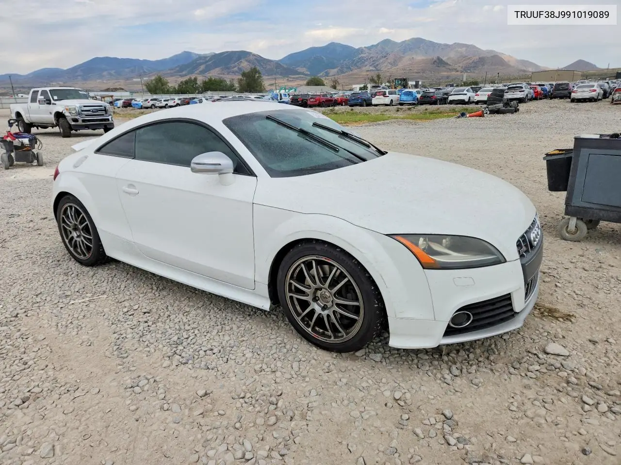 2009 Audi Tts VIN: TRUUF38J991019089 Lot: 62040746