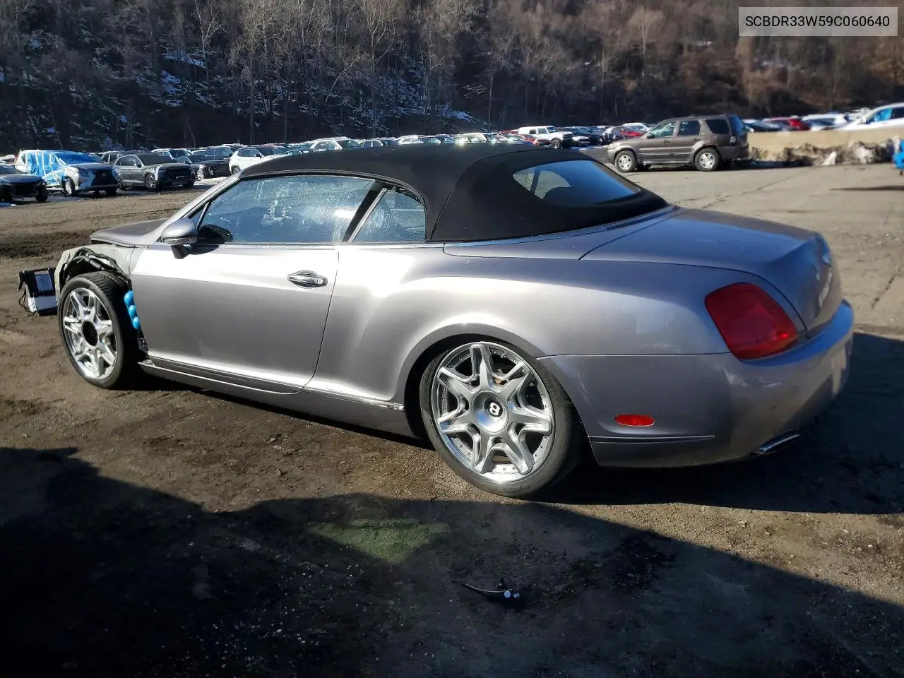 2009 Bentley Continental Gtc VIN: SCBDR33W59C060640 Lot: 79730025