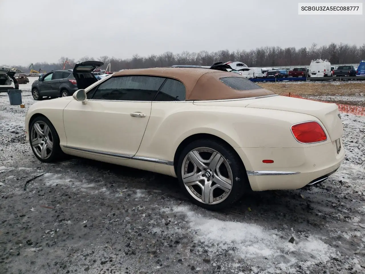 Continental