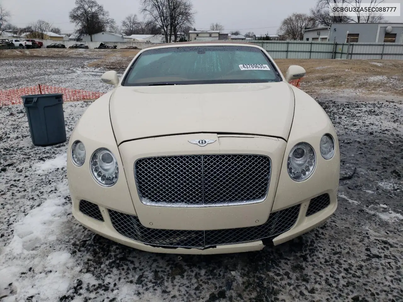 Continental