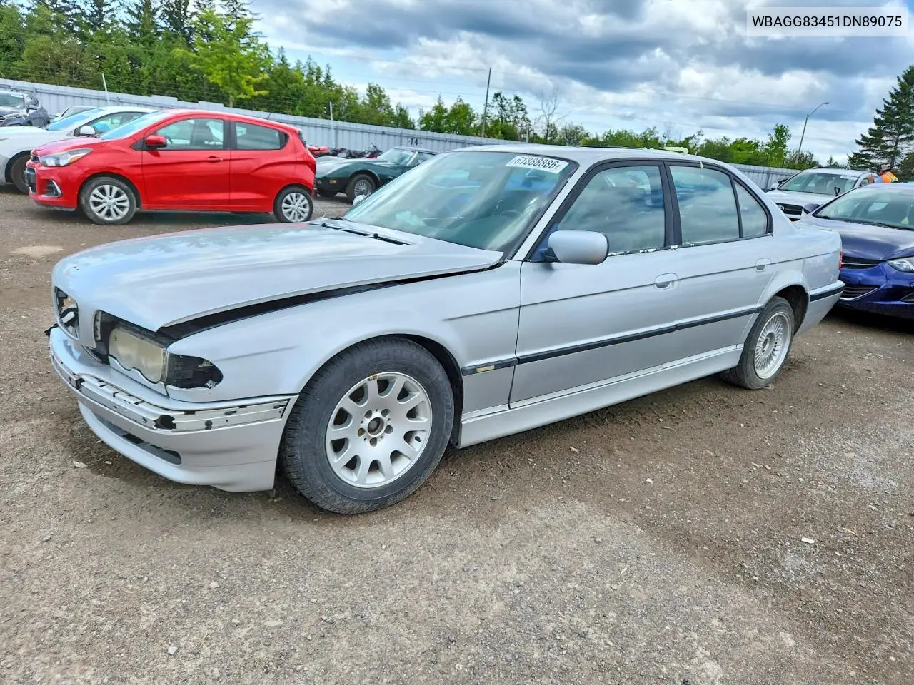 2001 BMW 740 I Automatic VIN: WBAGG83451DN89075 Lot: 61888886