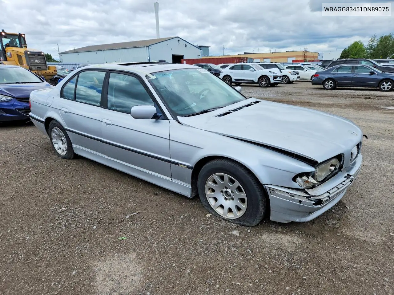 2001 BMW 740 I Automatic VIN: WBAGG83451DN89075 Lot: 61888886