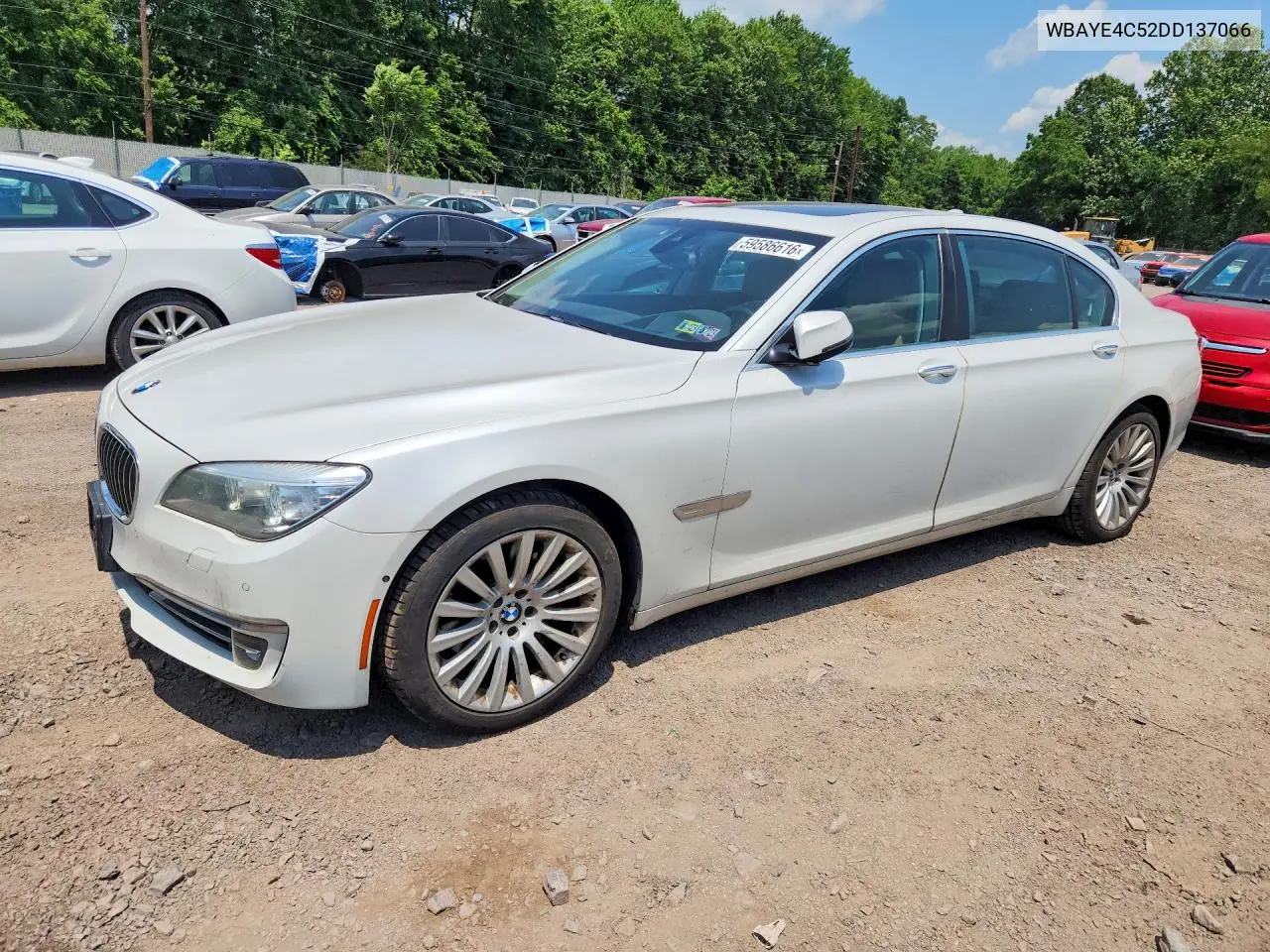 2013 BMW 740 Li VIN: WBAYE4C52DD137066 Lot: 59586616