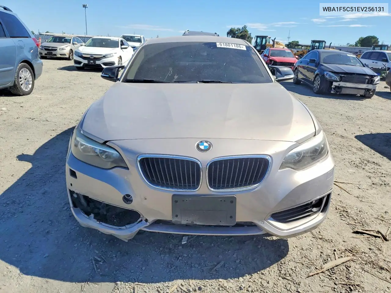 2014 BMW 228 I VIN: WBA1F5C51EV256131 Lot: 61801186