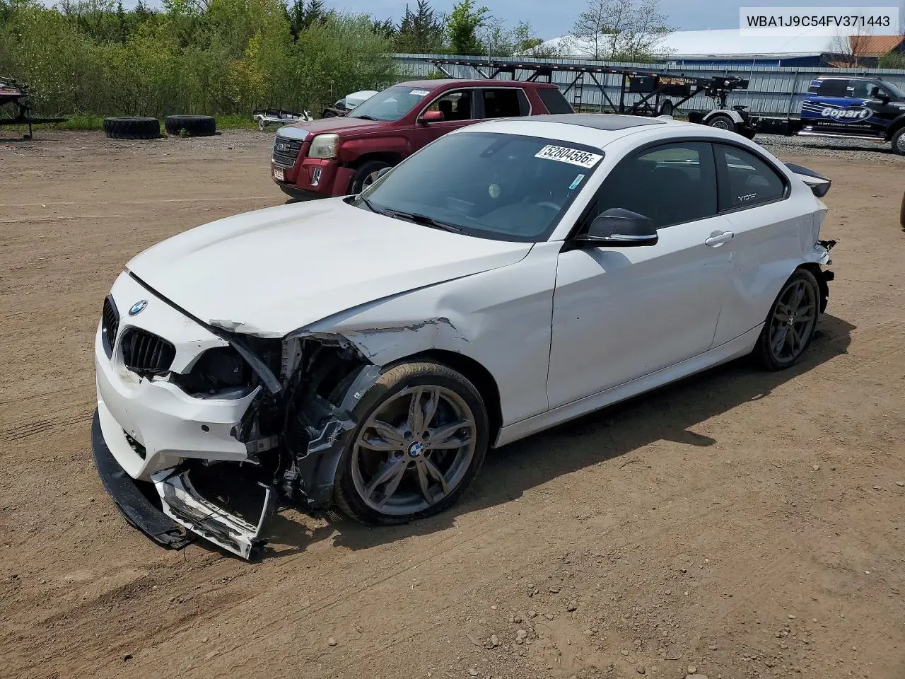 2015 BMW M235Xi VIN: WBA1J9C54FV371443 Lot: 52804586