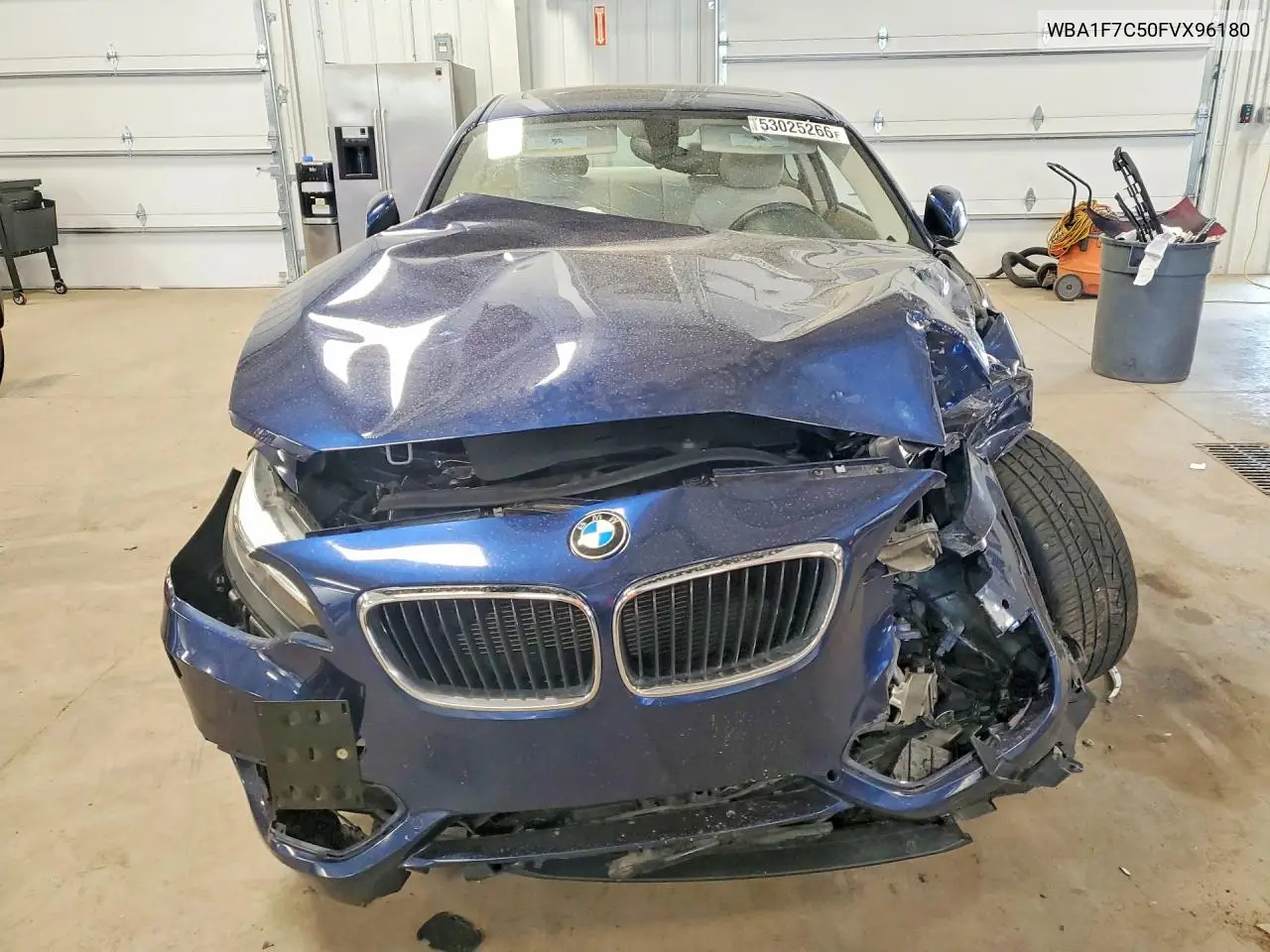 2015 BMW 228 Xi VIN: WBA1F7C50FVX96180 Lot: 53025266