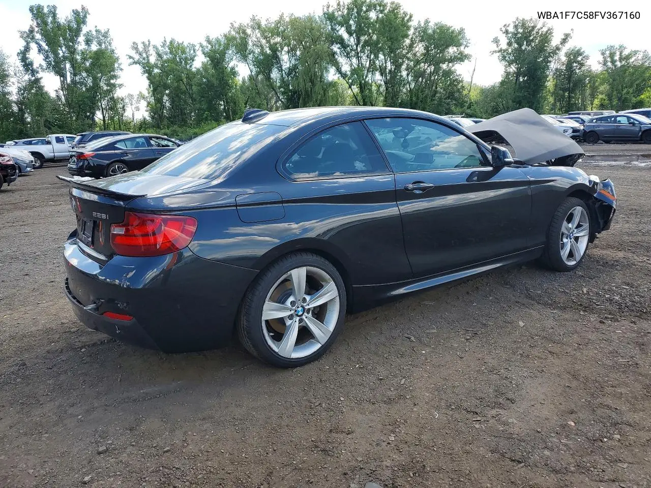 2015 BMW 228 Xi VIN: WBA1F7C58FV367160 Lot: 58552786