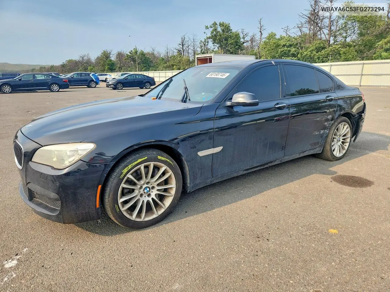 2015 BMW 740 I VIN: WBAYA6C53FG273294 Lot: 60190746