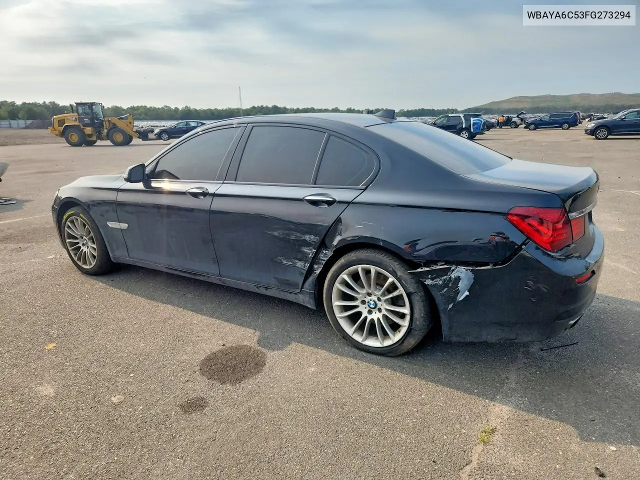 2015 BMW 740 I VIN: WBAYA6C53FG273294 Lot: 60190746