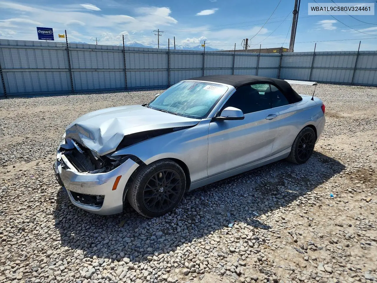 2016 BMW 228 Xi Sulev VIN: WBA1L9C58GV324461 Lot: 53197246