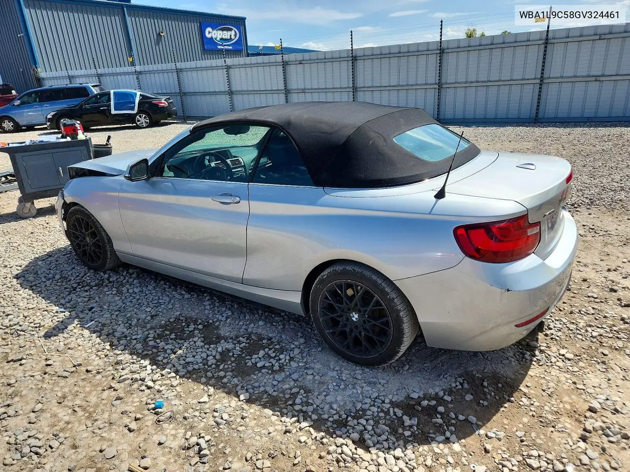 2016 BMW 228 Xi Sulev VIN: WBA1L9C58GV324461 Lot: 53197246