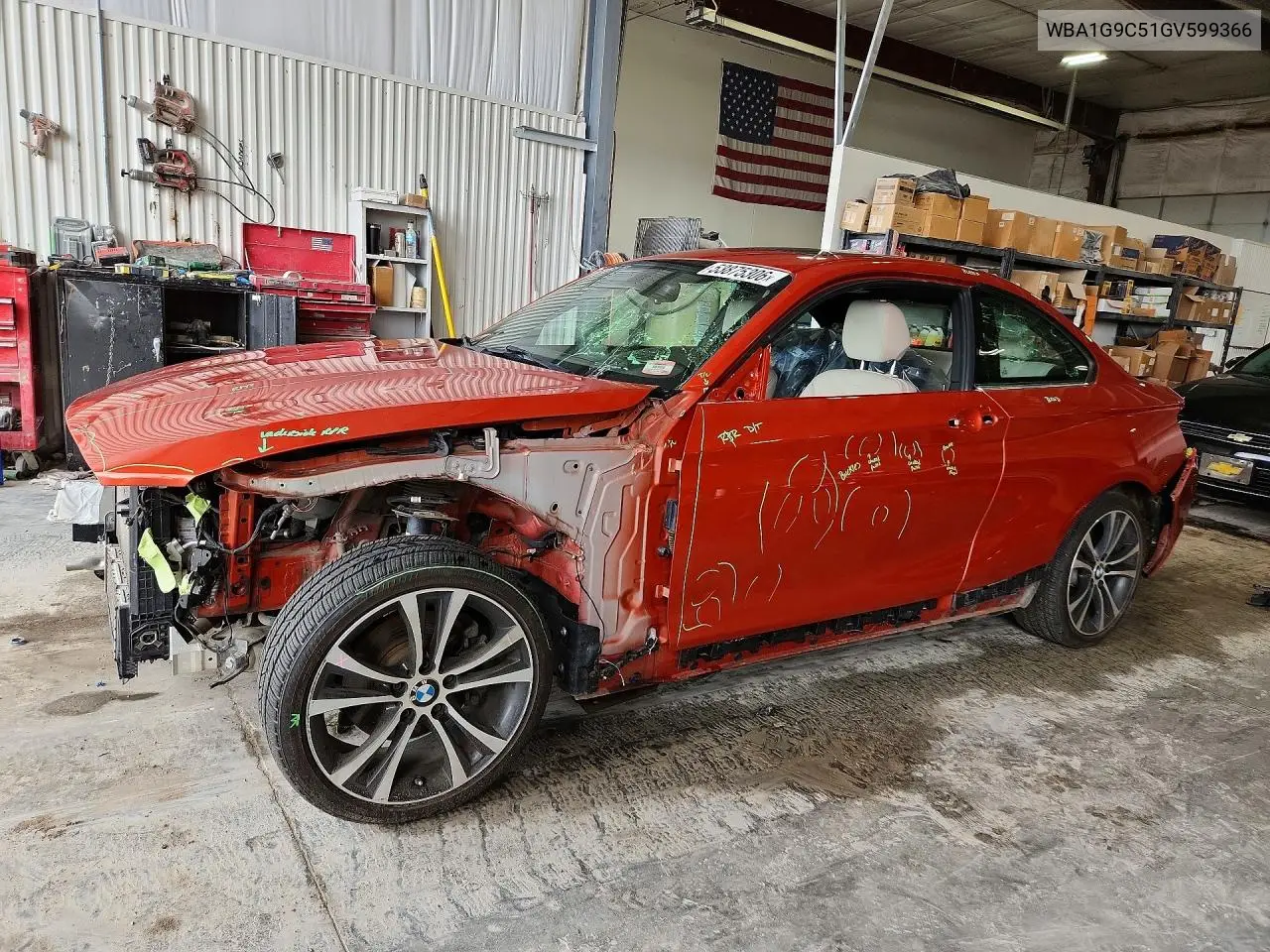 2016 BMW 228 Xi Sulev VIN: WBA1G9C51GV599366 Lot: 53875306