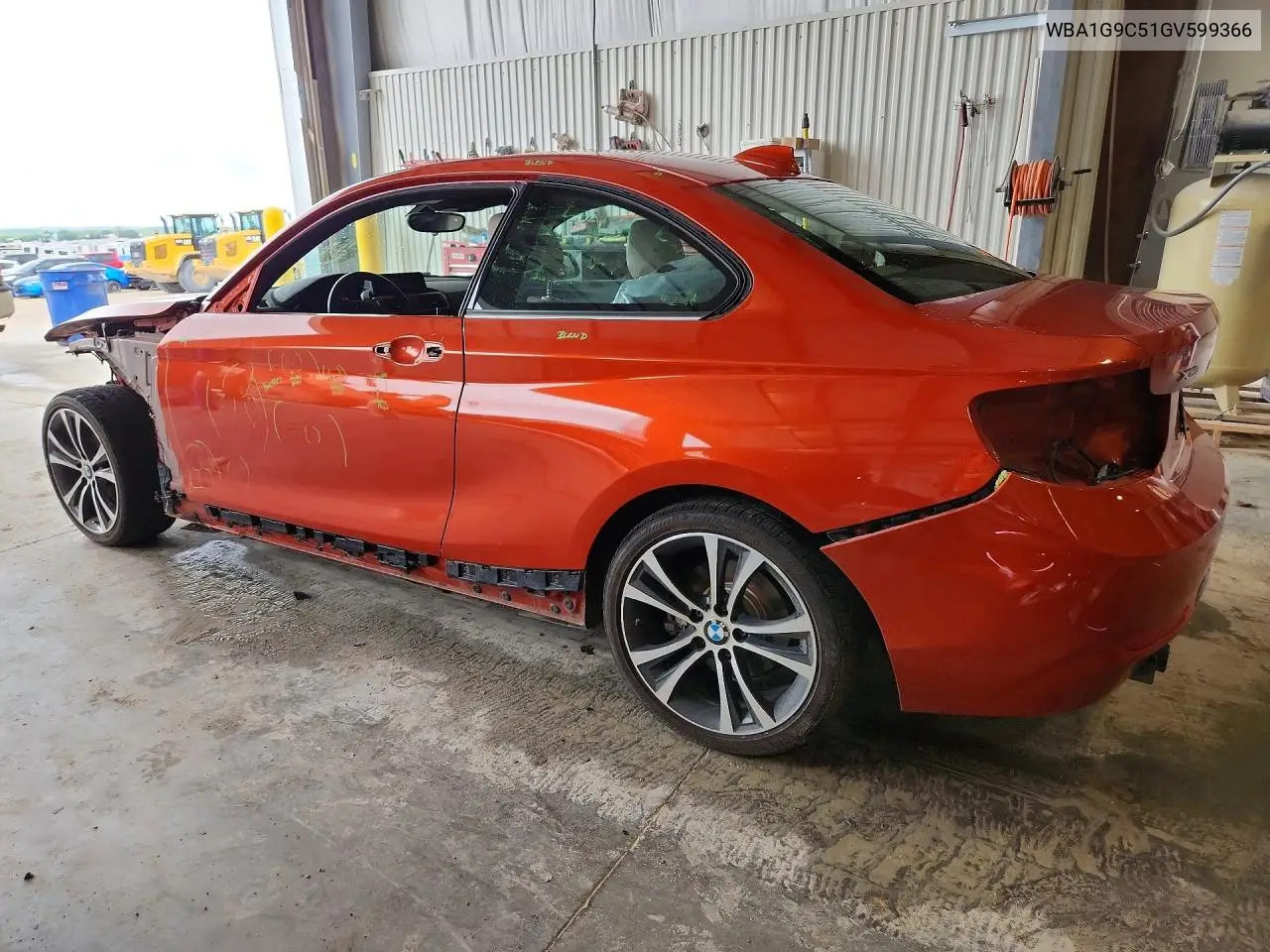 2016 BMW 228 Xi Sulev VIN: WBA1G9C51GV599366 Lot: 53875306