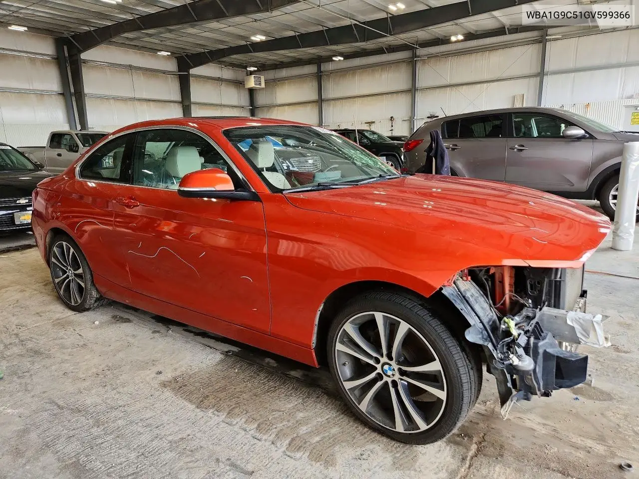 2016 BMW 228 Xi Sulev VIN: WBA1G9C51GV599366 Lot: 53875306