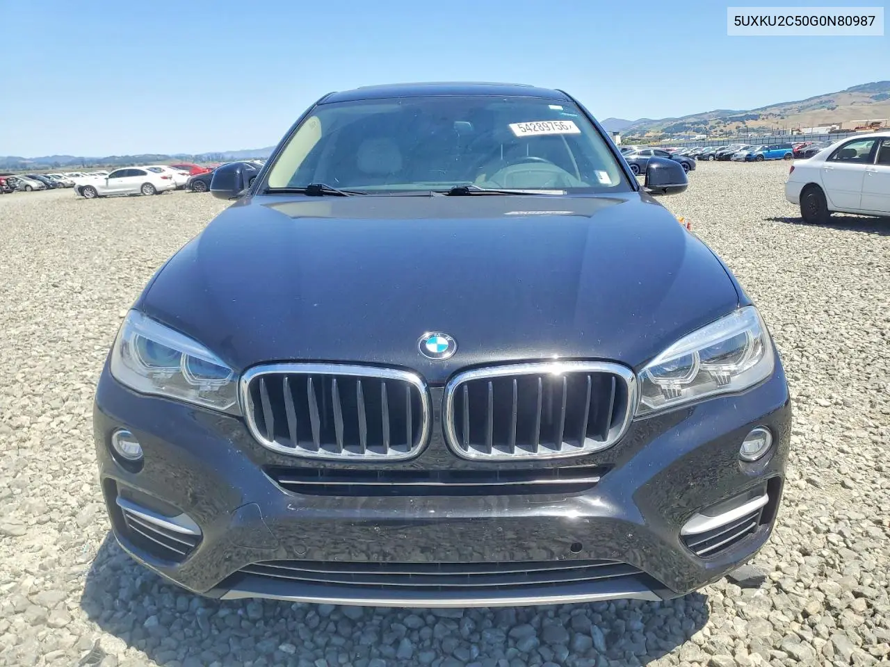 2016 BMW X6 xDrive35I VIN: 5UXKU2C50G0N80987 Lot: 54289756