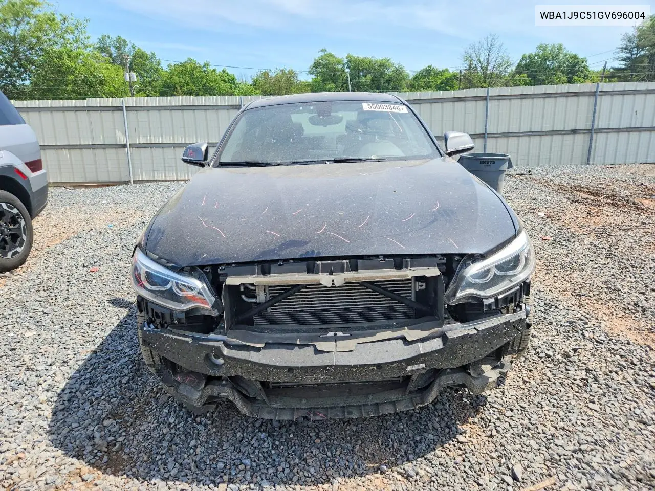 2016 BMW M235Xi VIN: WBA1J9C51GV696004 Lot: 55003846