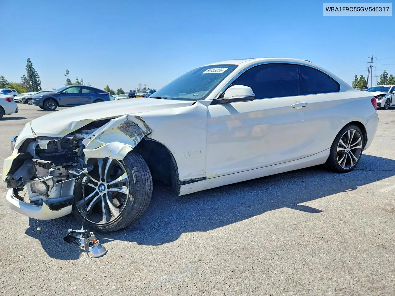 2016 BMW 228 I Sulev VIN: WBA1F9C55GV546317 Lot: 56763286