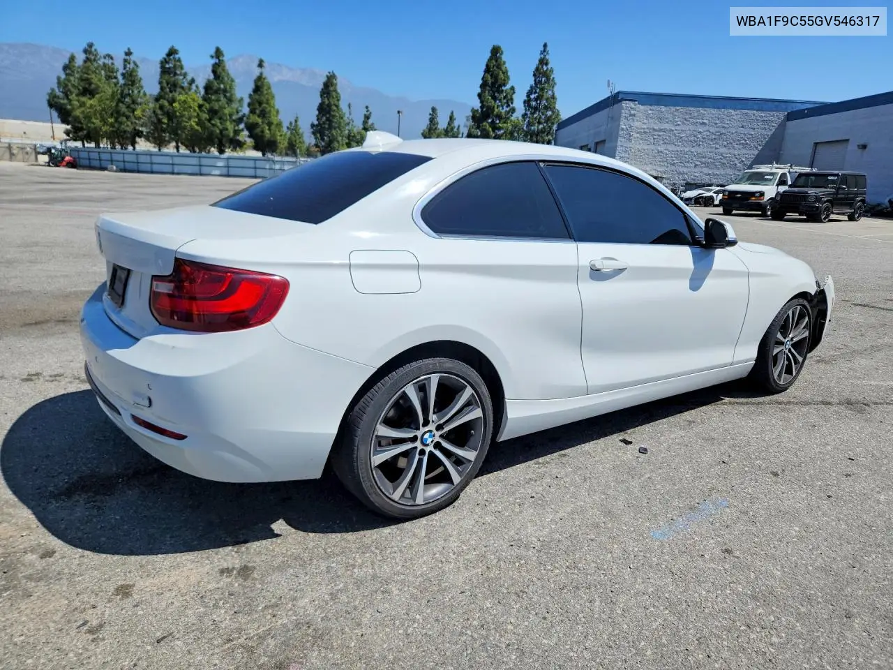 2016 BMW 228 I Sulev VIN: WBA1F9C55GV546317 Lot: 56763286