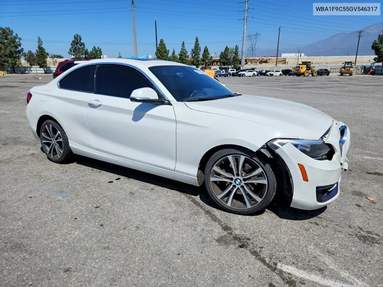 2016 BMW 228 I Sulev VIN: WBA1F9C55GV546317 Lot: 56763286