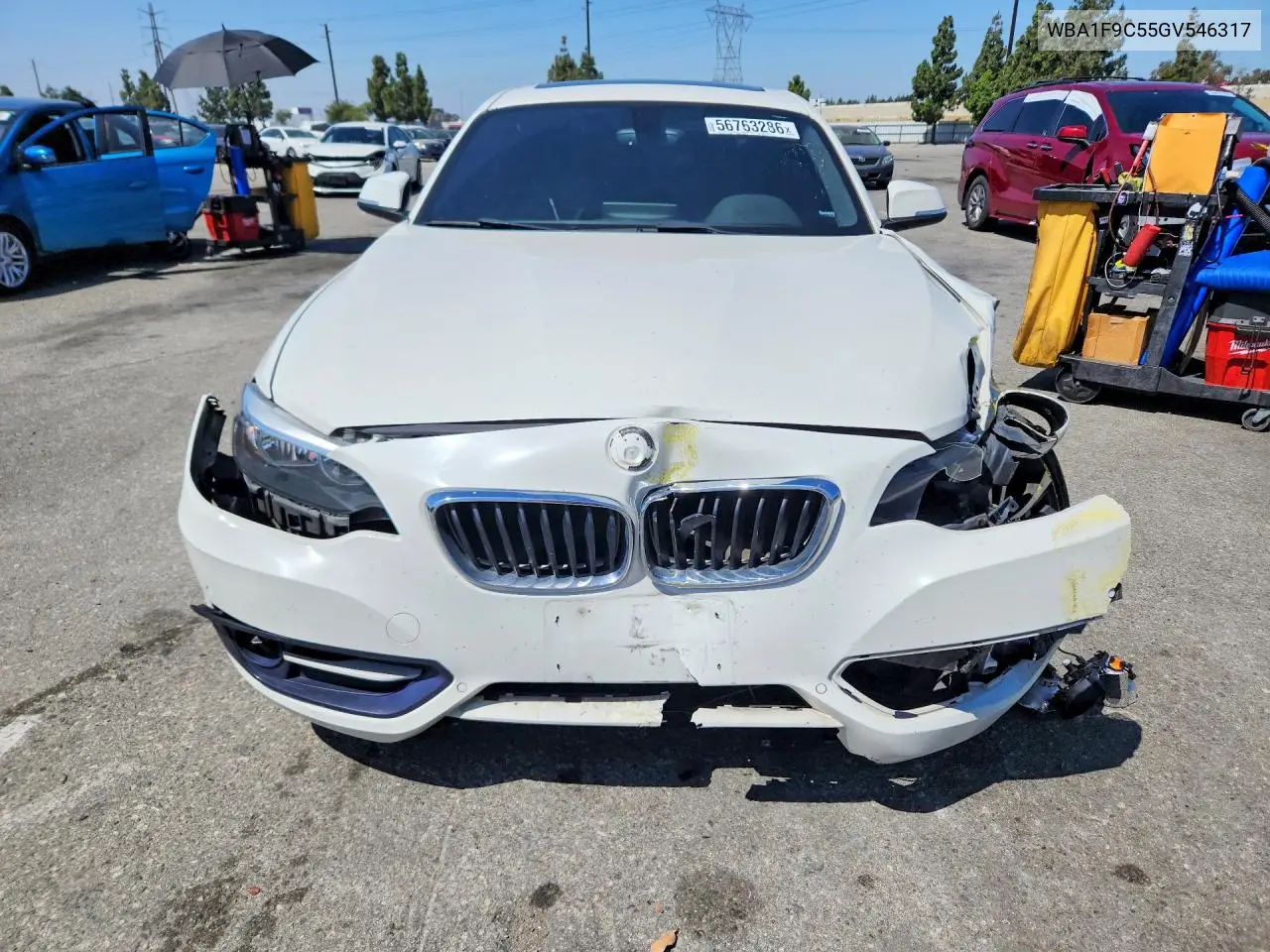 2016 BMW 228 I Sulev VIN: WBA1F9C55GV546317 Lot: 56763286