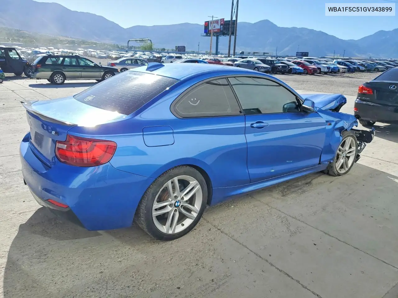 2016 BMW 228 I VIN: WBA1F5C51GV343899 Lot: 56807716