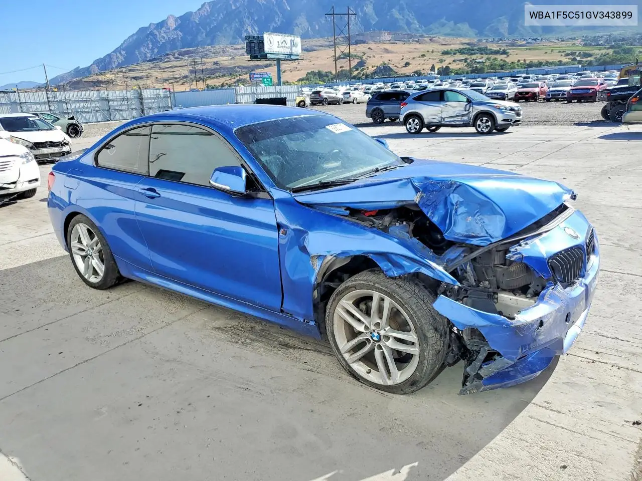 2016 BMW 228 I VIN: WBA1F5C51GV343899 Lot: 56807716