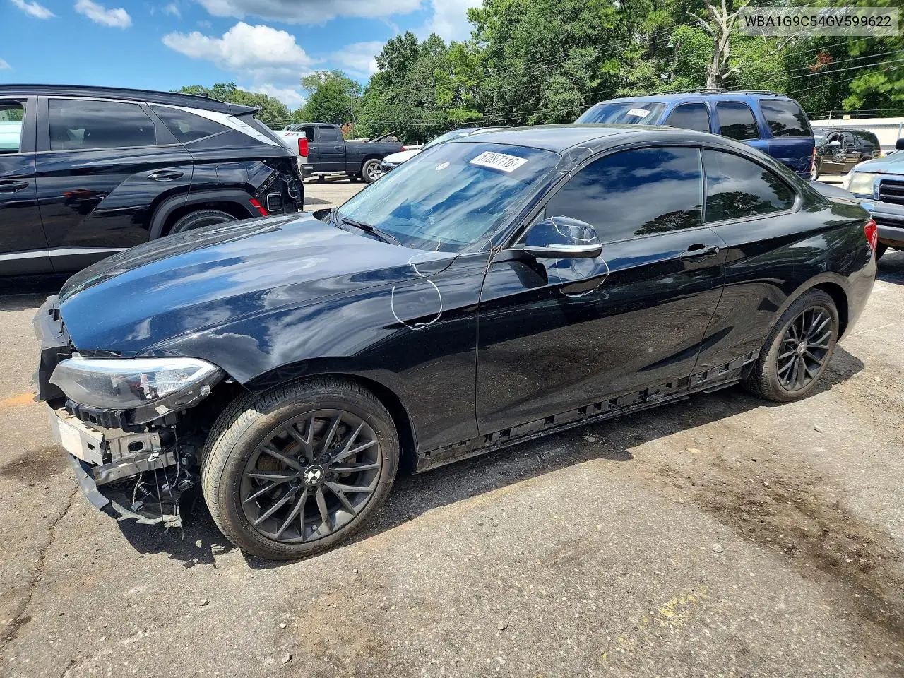 2016 BMW 228 Xi Sulev VIN: WBA1G9C54GV599622 Lot: 57897116