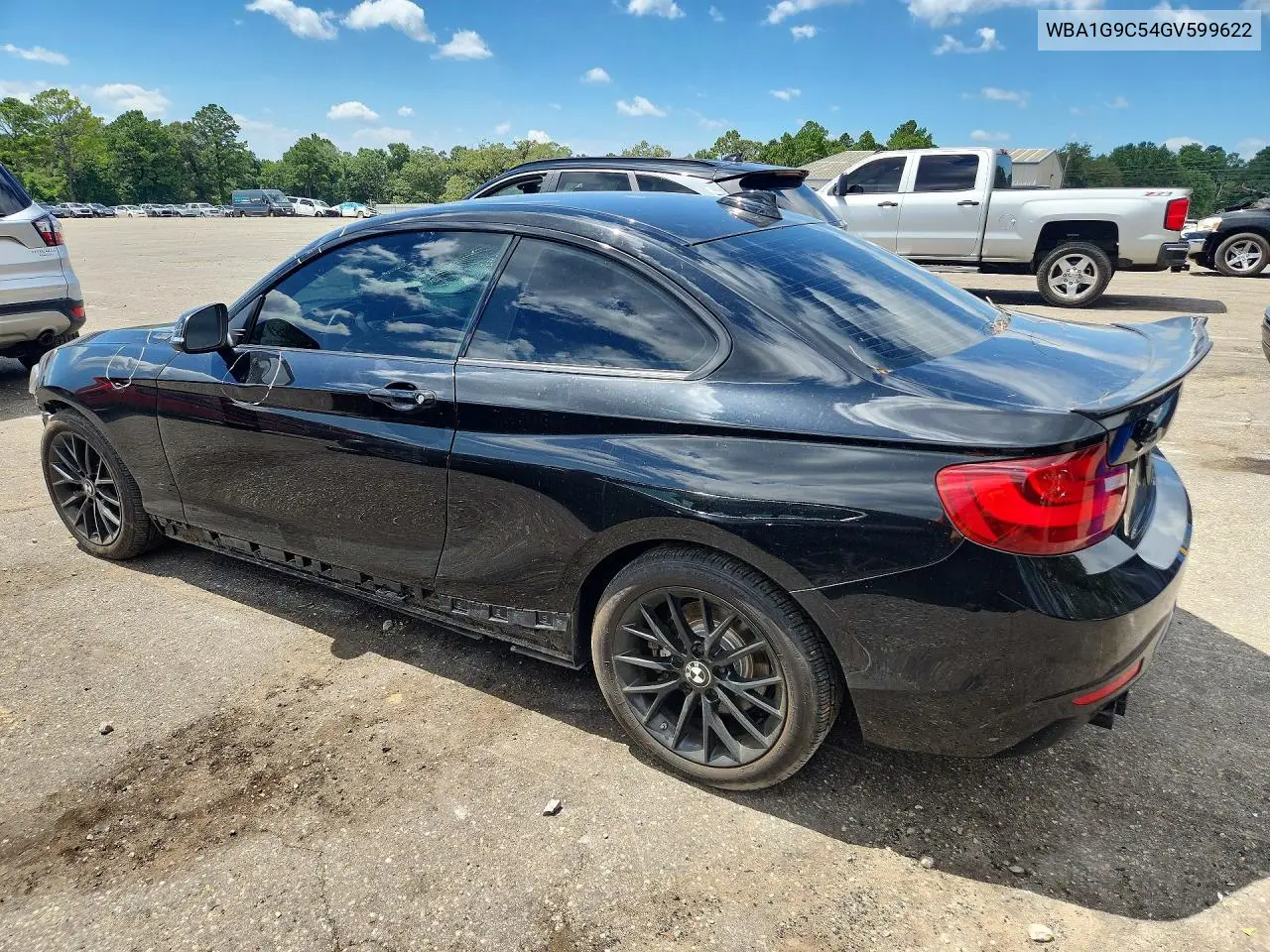 2016 BMW 228 Xi Sulev VIN: WBA1G9C54GV599622 Lot: 57897116