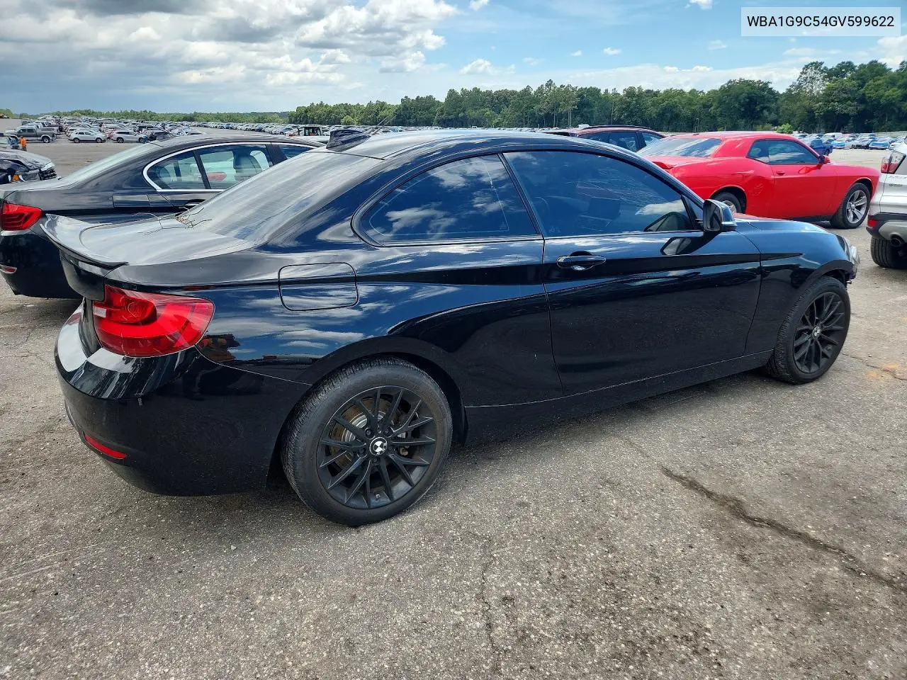 2016 BMW 228 Xi Sulev VIN: WBA1G9C54GV599622 Lot: 57897116