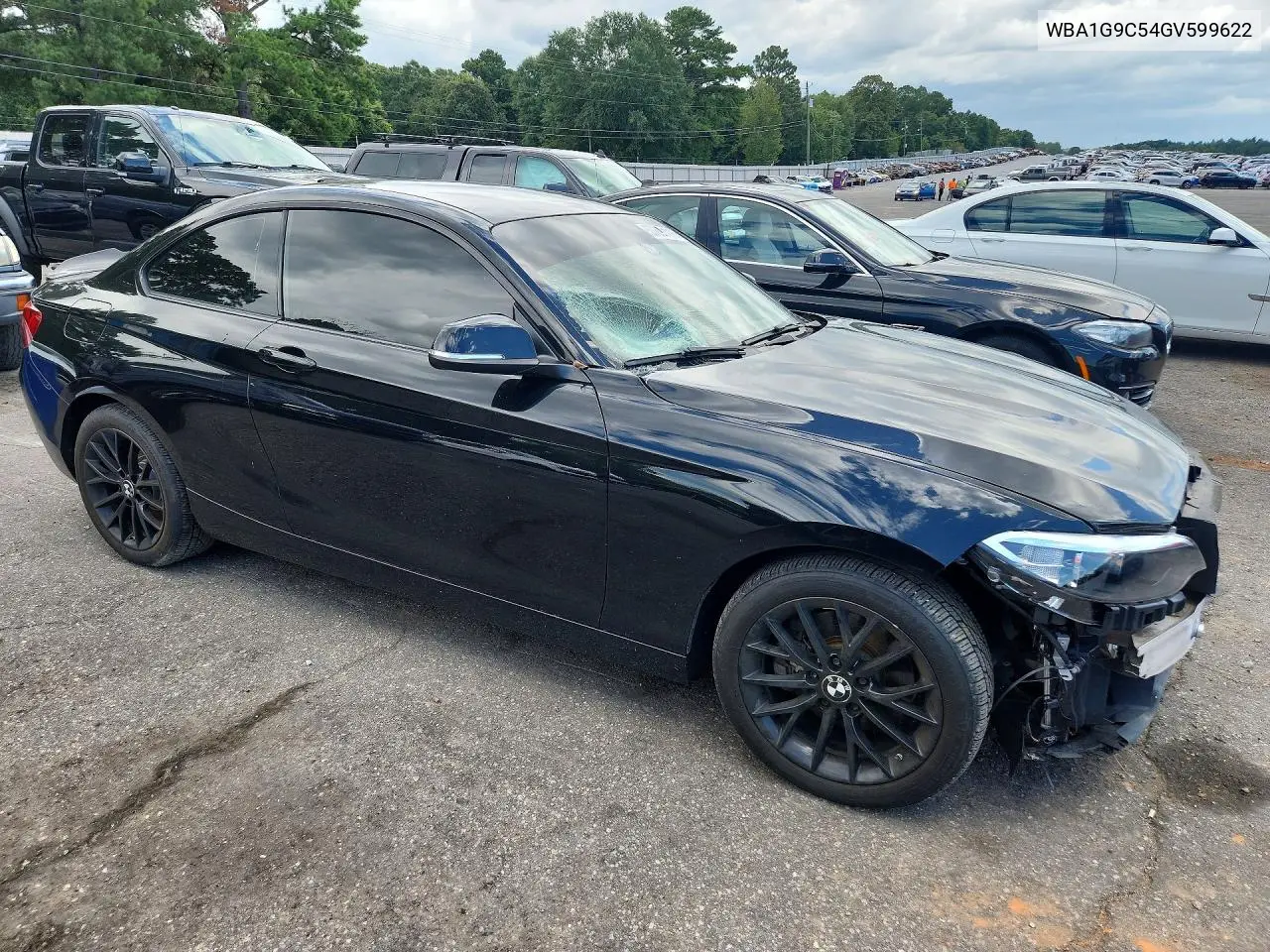 2016 BMW 228 Xi Sulev VIN: WBA1G9C54GV599622 Lot: 57897116