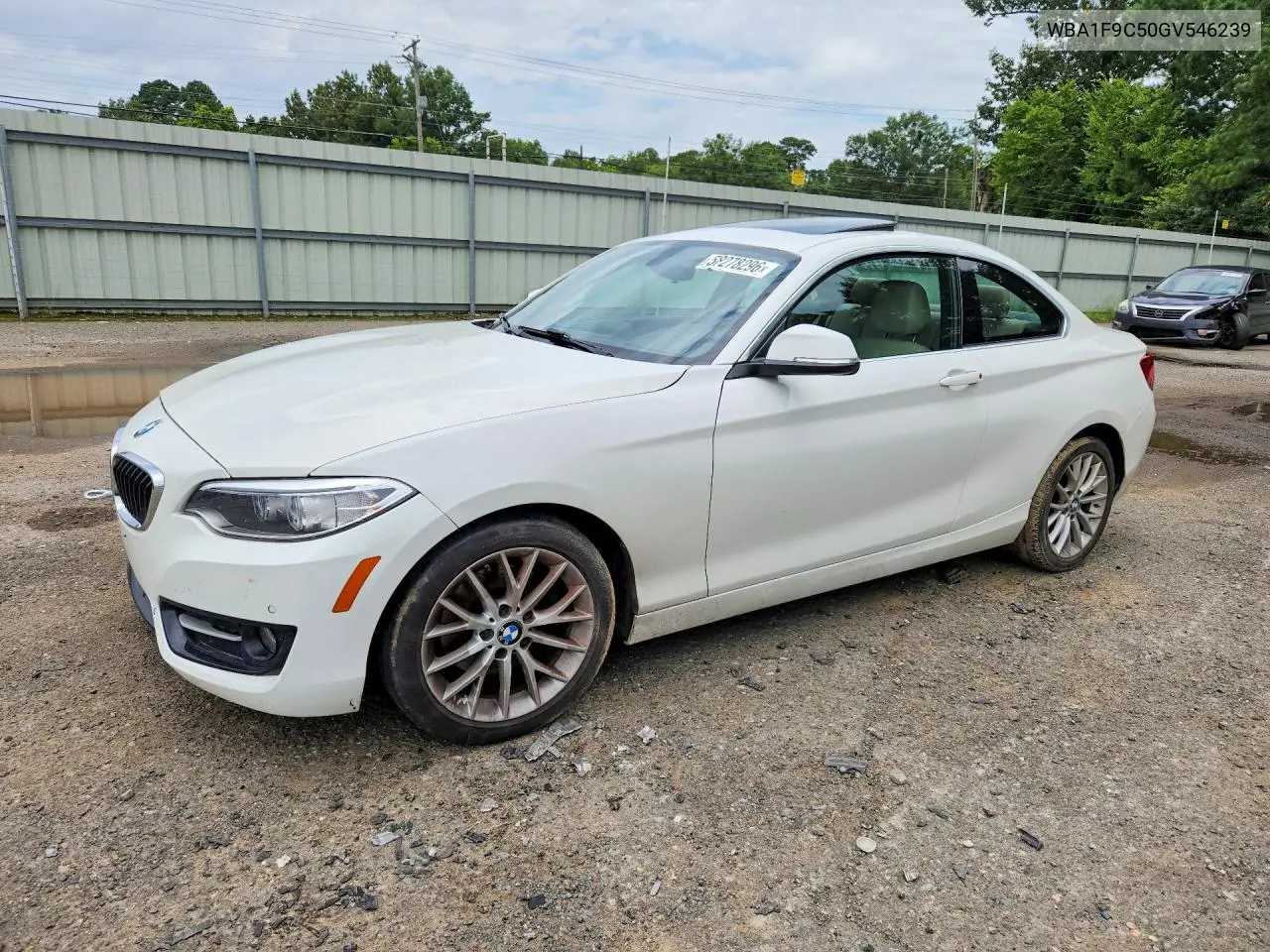 2016 BMW 228 I Sulev VIN: WBA1F9C50GV546239 Lot: 58278296