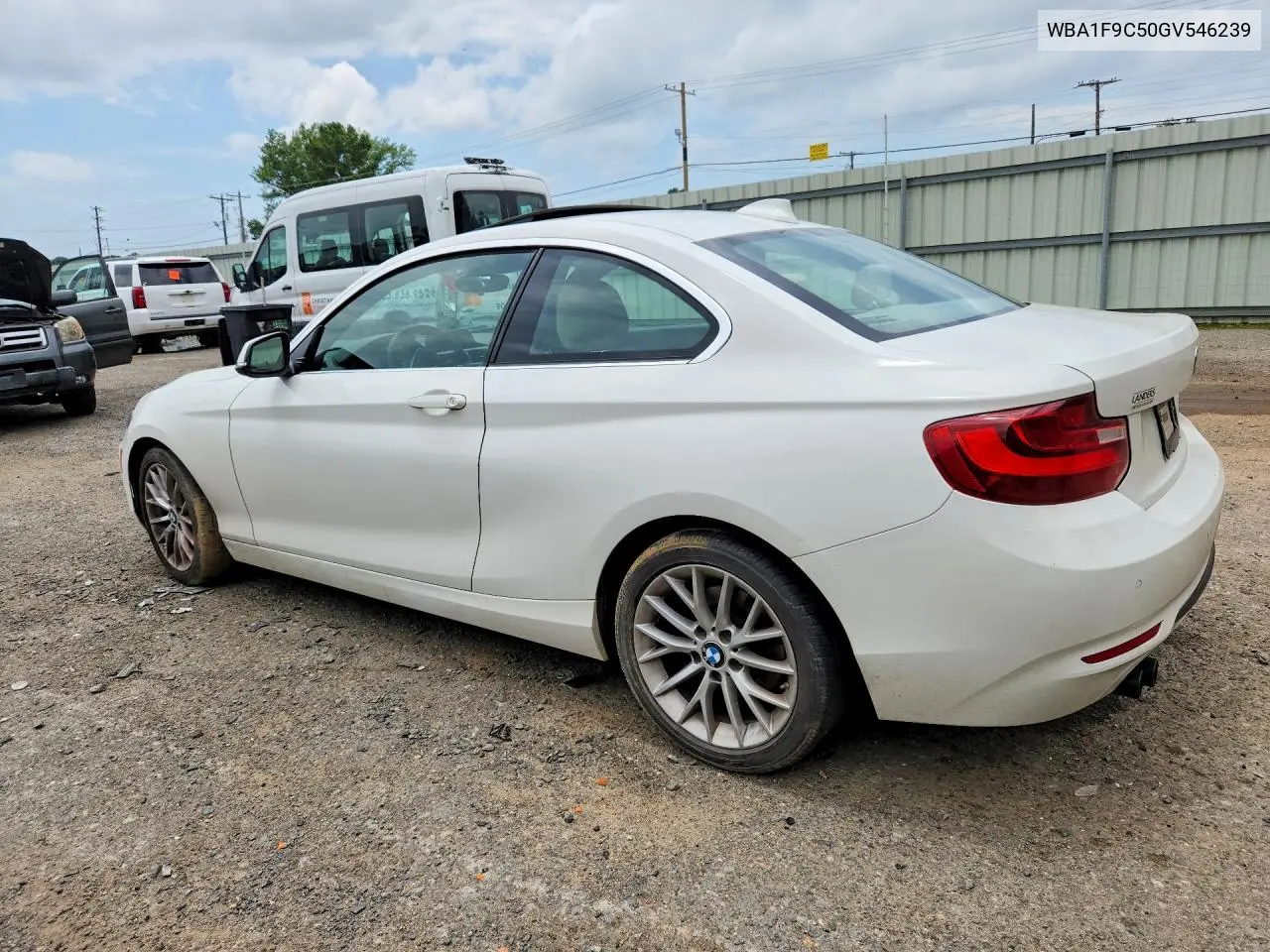2016 BMW 228 I Sulev VIN: WBA1F9C50GV546239 Lot: 58278296