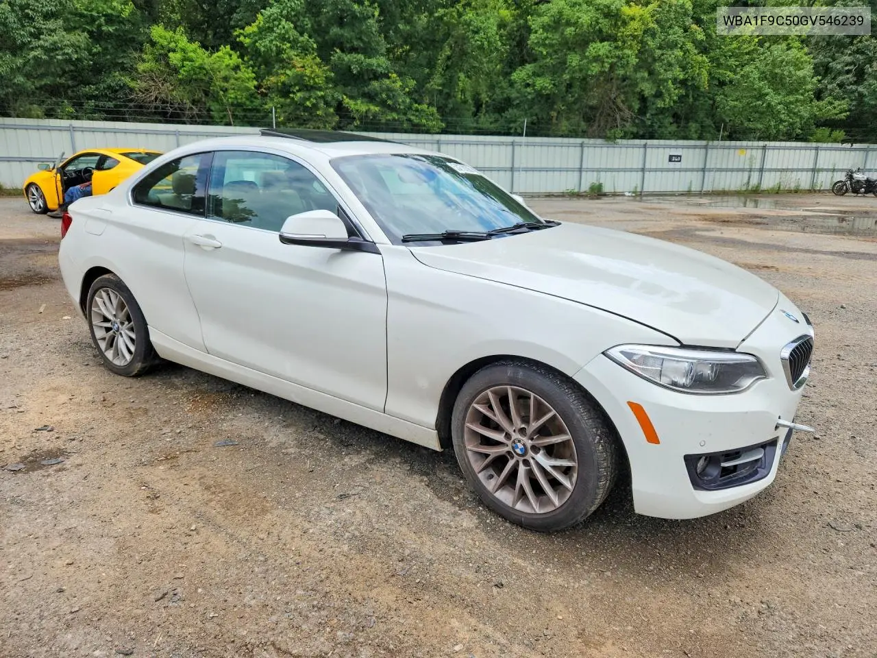2016 BMW 228 I Sulev VIN: WBA1F9C50GV546239 Lot: 58278296