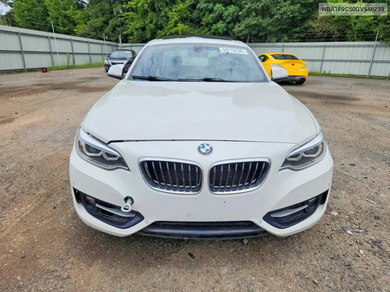 2016 BMW 228 I Sulev VIN: WBA1F9C50GV546239 Lot: 58278296