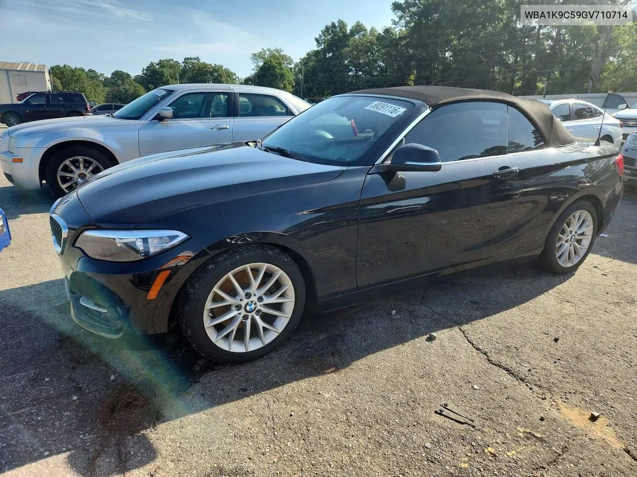 2016 BMW 228 I Sulev VIN: WBA1K9C59GV710714 Lot: 58391116