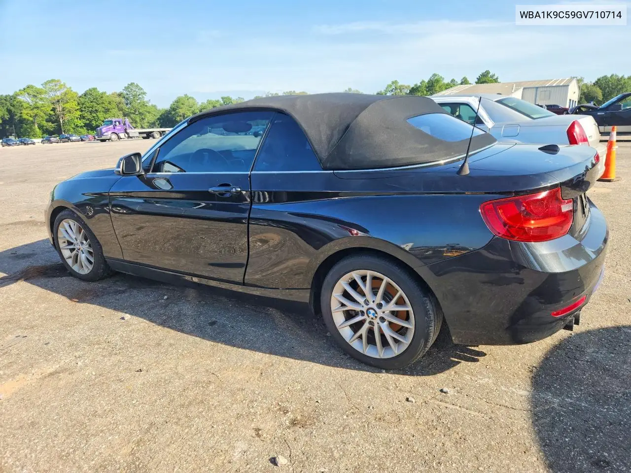 2016 BMW 228 I Sulev VIN: WBA1K9C59GV710714 Lot: 58391116