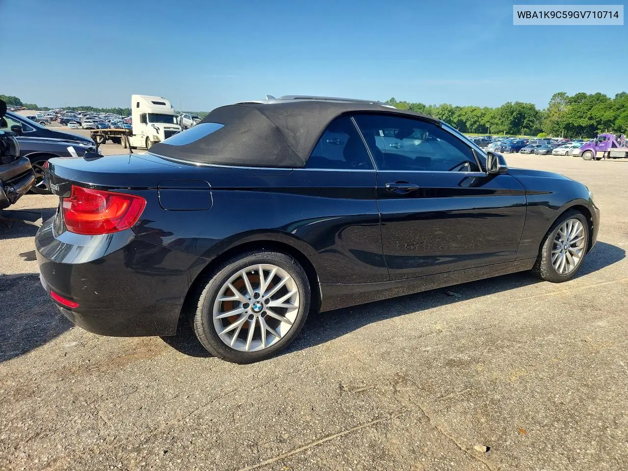 2016 BMW 228 I Sulev VIN: WBA1K9C59GV710714 Lot: 58391116