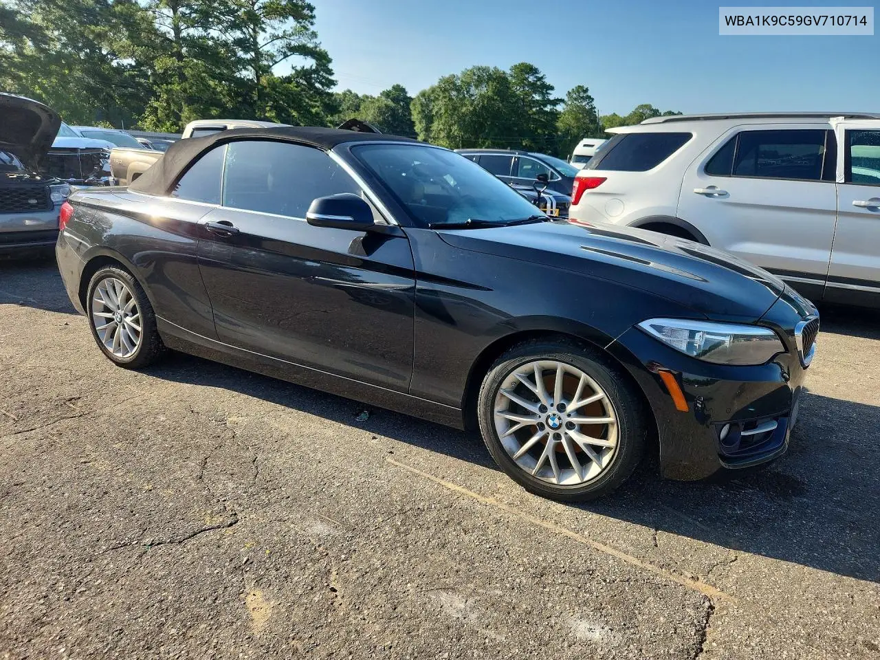 2016 BMW 228 I Sulev VIN: WBA1K9C59GV710714 Lot: 58391116