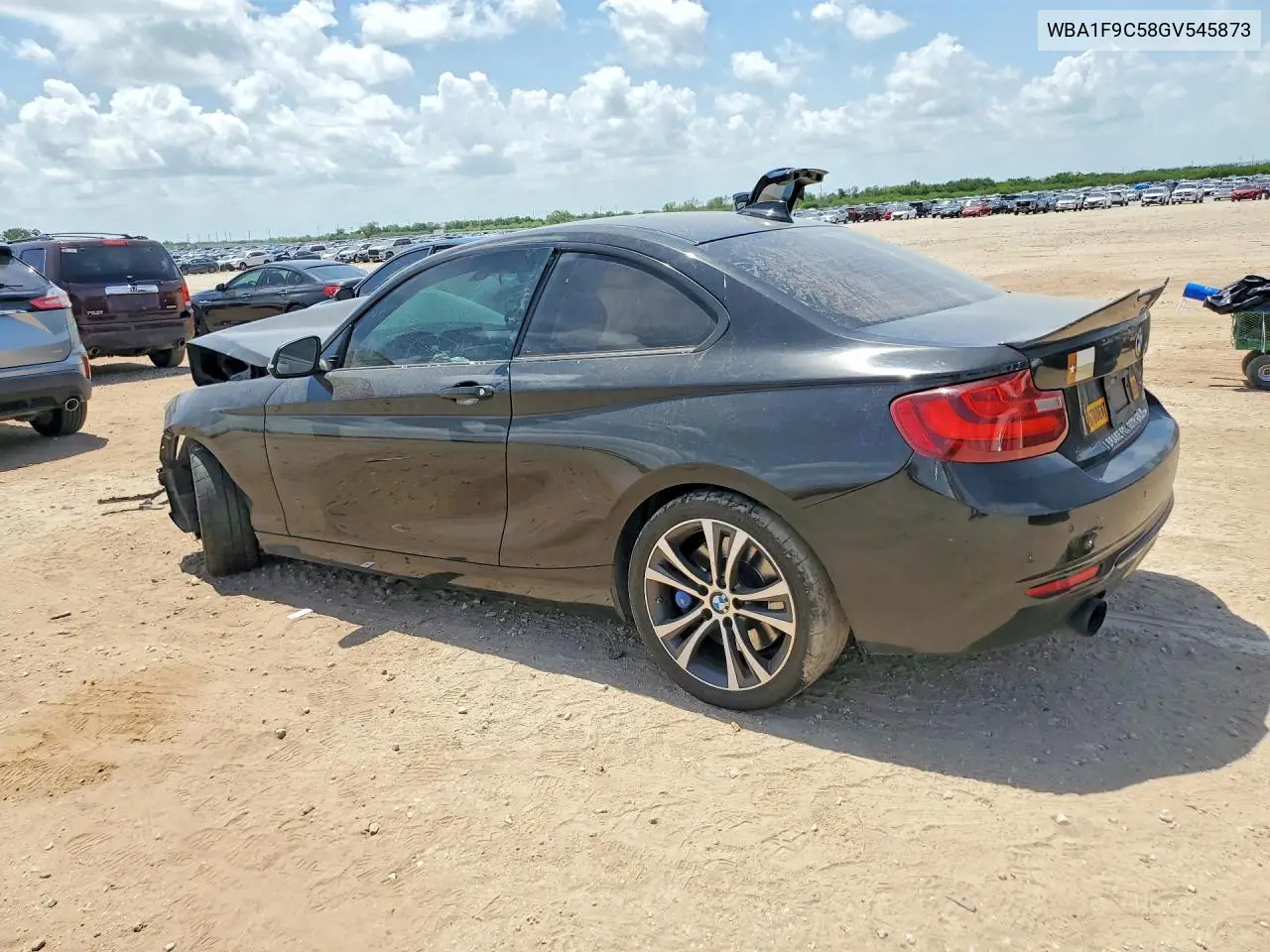 2016 BMW 228 I Sulev VIN: WBA1F9C58GV545873 Lot: 59849846