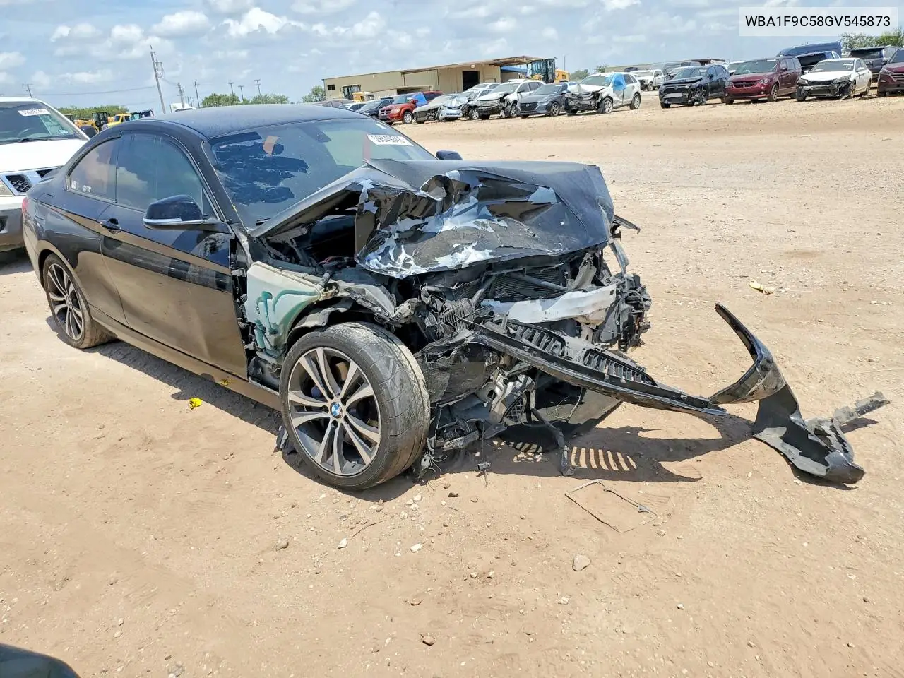 2016 BMW 228 I Sulev VIN: WBA1F9C58GV545873 Lot: 59849846