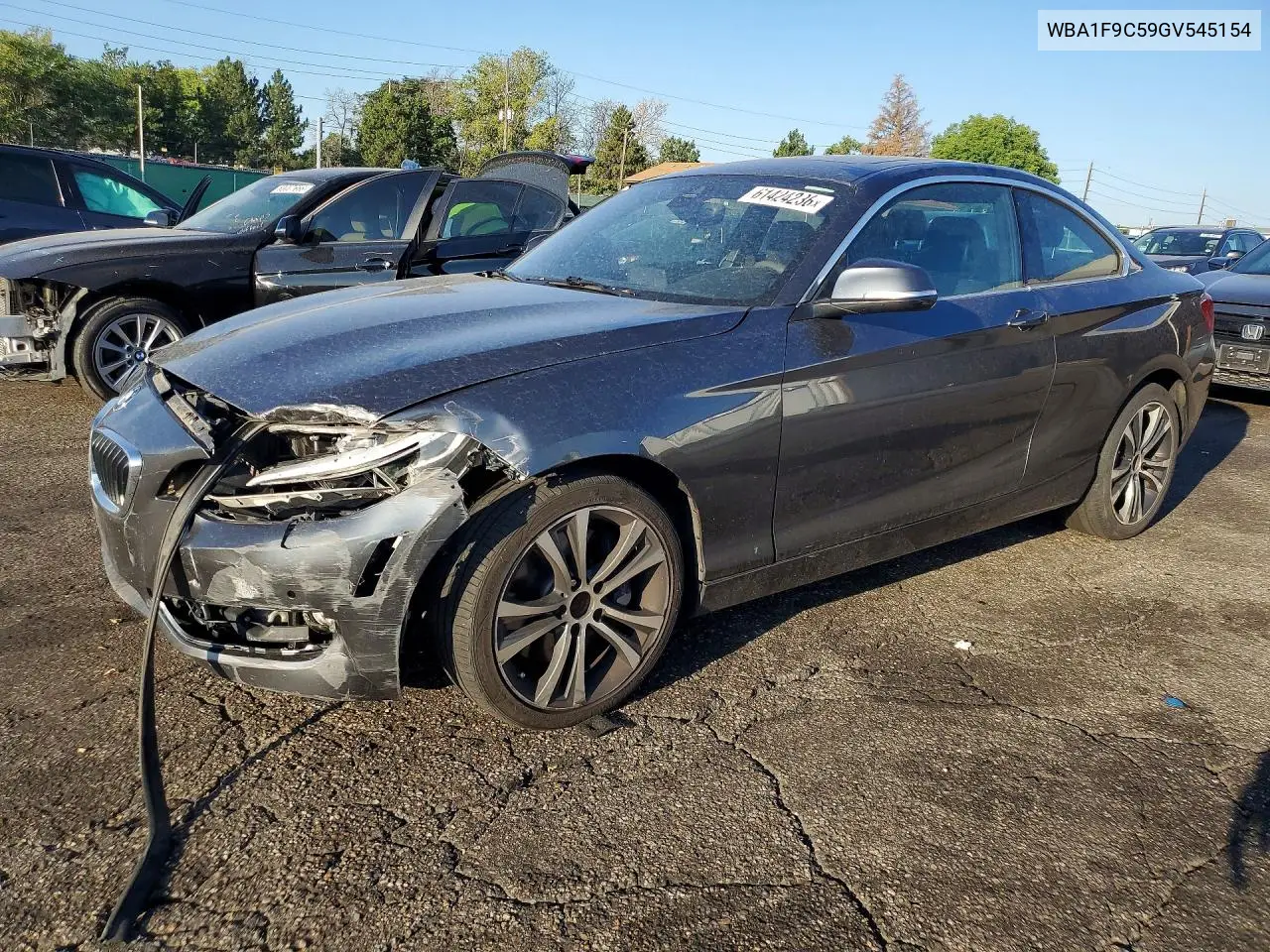 2016 BMW 228 I Sulev VIN: WBA1F9C59GV545154 Lot: 61424236
