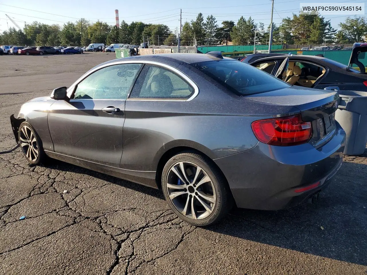 2016 BMW 228 I Sulev VIN: WBA1F9C59GV545154 Lot: 61424236