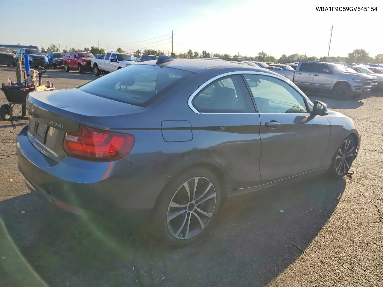2016 BMW 228 I Sulev VIN: WBA1F9C59GV545154 Lot: 61424236