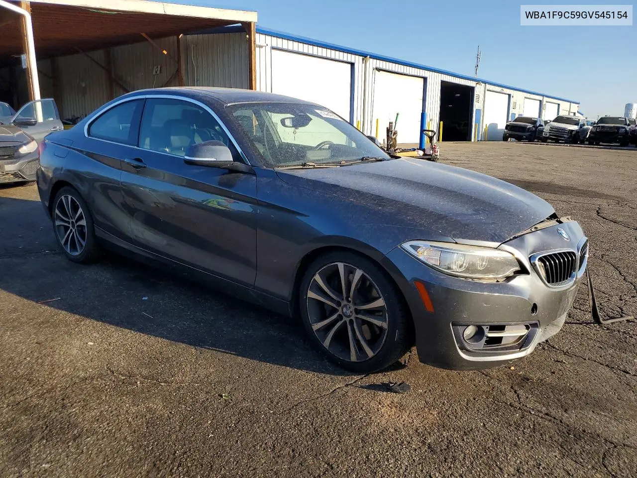 2016 BMW 228 I Sulev VIN: WBA1F9C59GV545154 Lot: 61424236