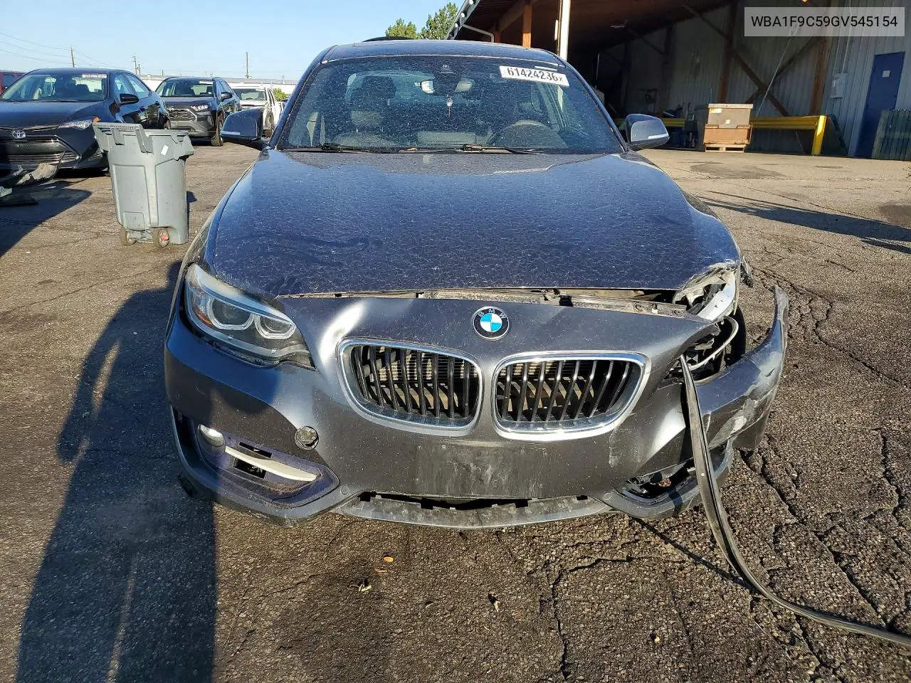 2016 BMW 228 I Sulev VIN: WBA1F9C59GV545154 Lot: 61424236