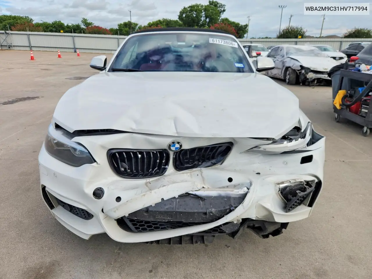 2017 BMW 230Xi VIN: WBA2M9C31HV717994 Lot: 61173806
